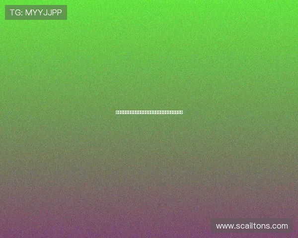 摩洛哥世界杯表现分析：借鉴巴西队丰富经验提升球队竞争力